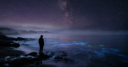 Why Pisces Men Avoid Conflict (And What They’re Hiding From You)